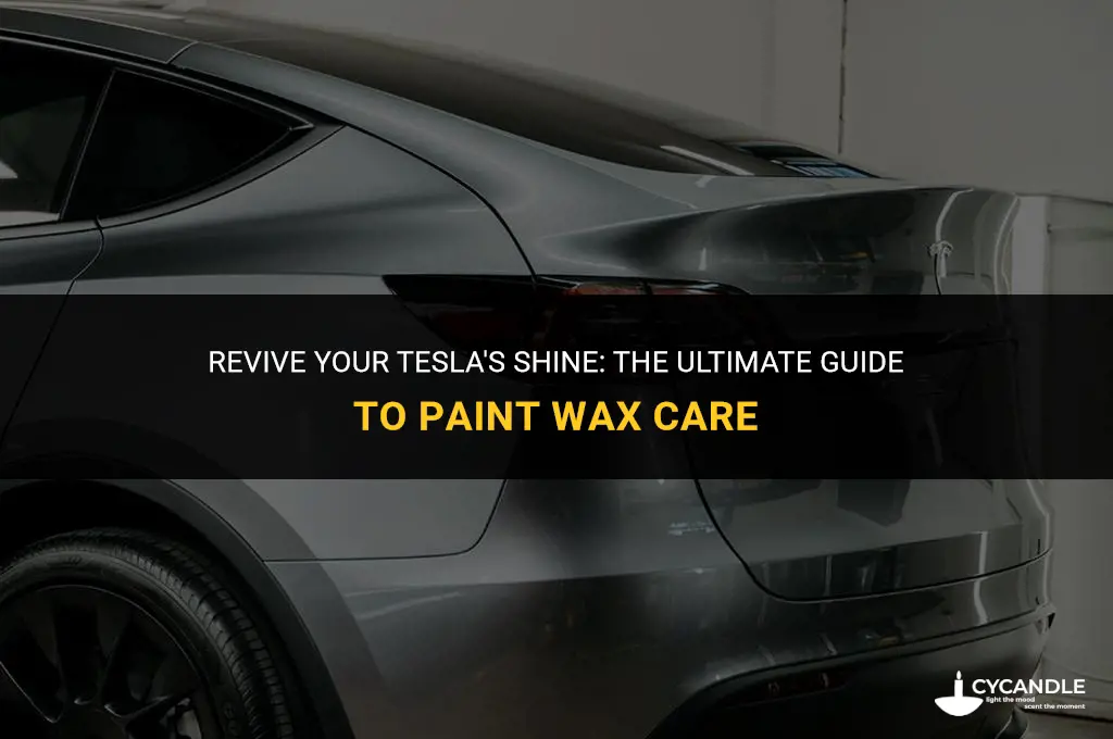 how to take care of tesla paint wax