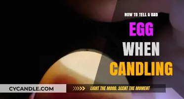 Identifying Bad Eggs: Candling Techniques for Beginners