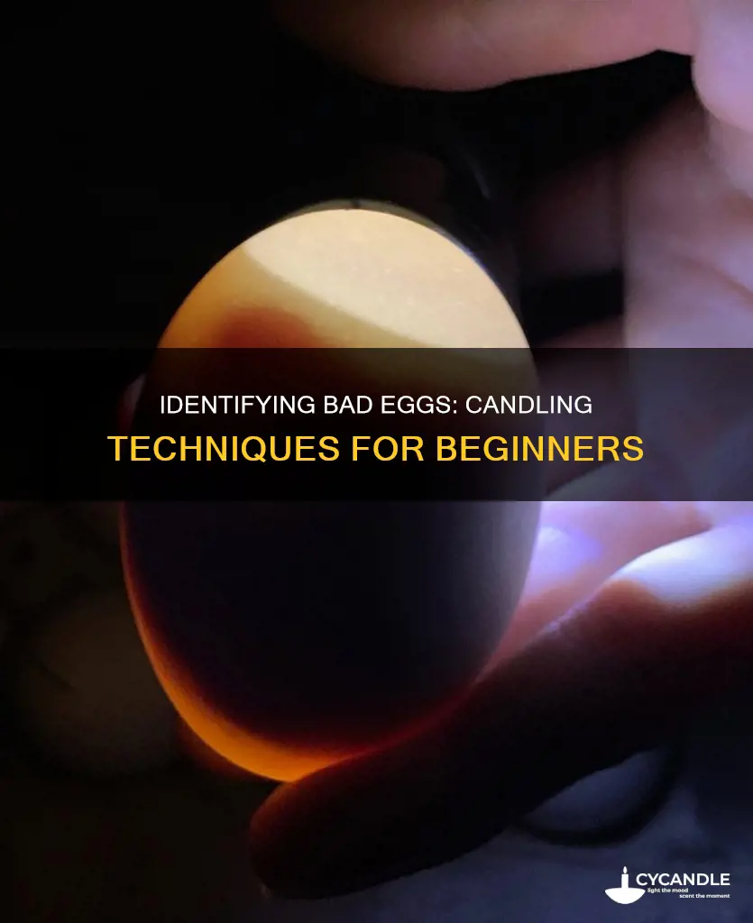 how to tell a bad egg when candling