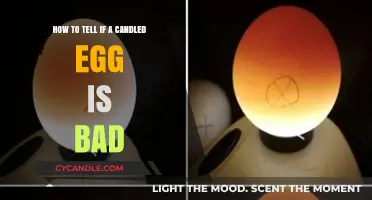 Detecting Bad Candled Eggs: What to Look For