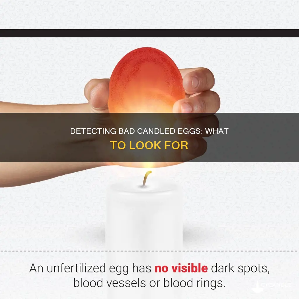 how to tell if a candled egg is bad