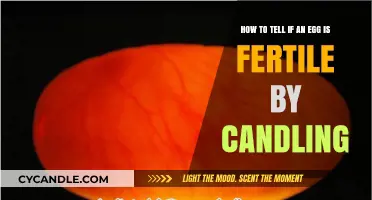 Candling Eggs: Identifying Fertility and Viability
