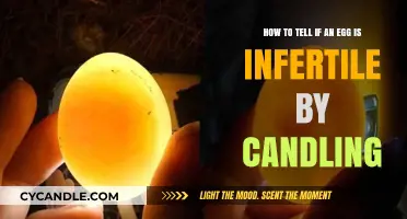 Candling Eggs: Spotting Infertility Quickly