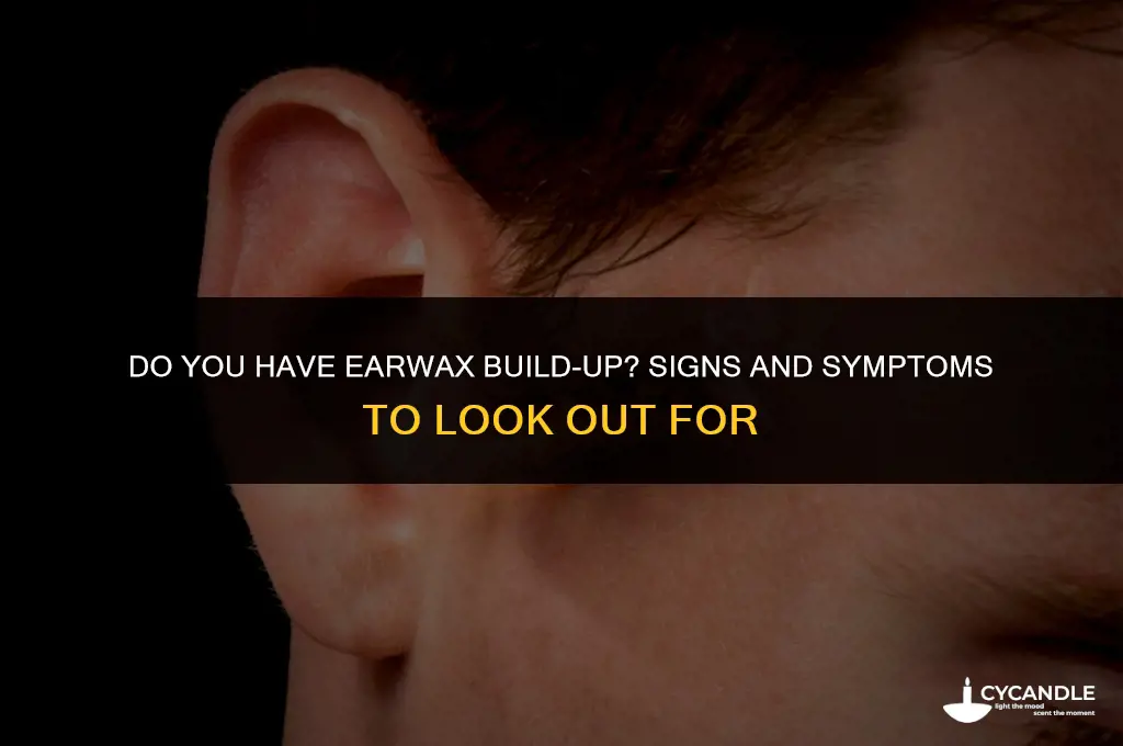 how to tell if you have ear wax build up