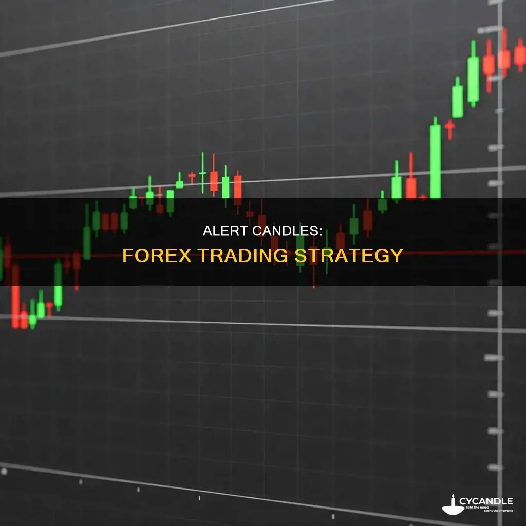 how to trade daily alert candles in forex