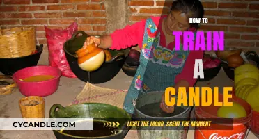 Training Candles: A Step-by-Step Guide to Success