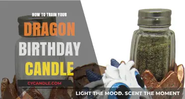 Training Dragons, Blowing Candles: A Birthday Adventure