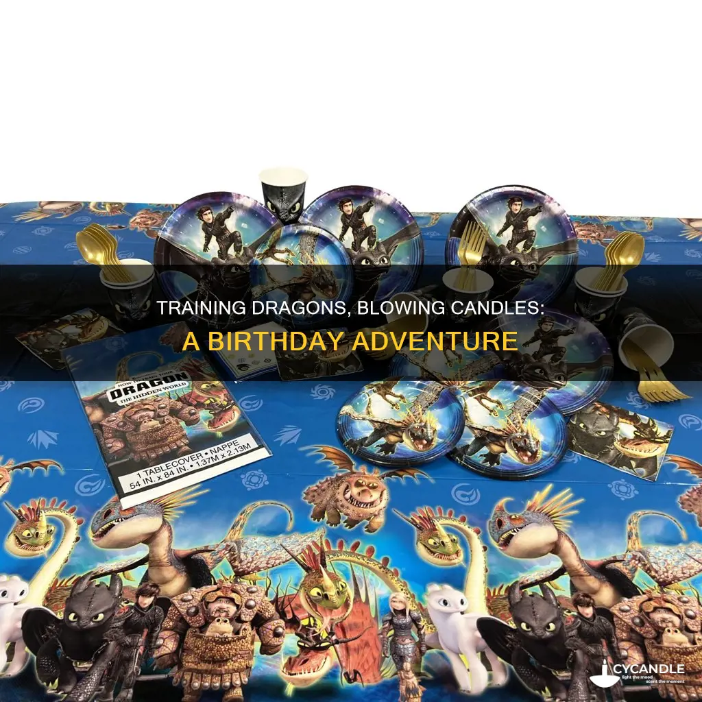 how to train your dragon birthday candle