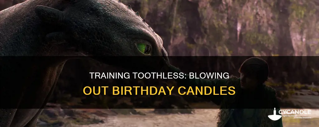 how to train your dragon toothless blowing out candle