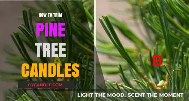 Trimming Pine Tree Candles: A Step-by-Step Guide