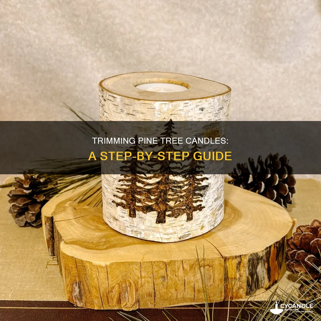 how to trim pine tree candles