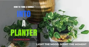 Transforming Candles: Creative Planter Ideas for Your Home