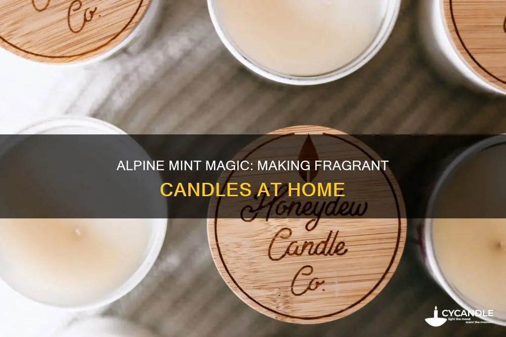 how to turn alpine mint into candles