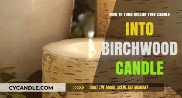 Transform Dollar Tree Candles into Birchwood Centerpieces