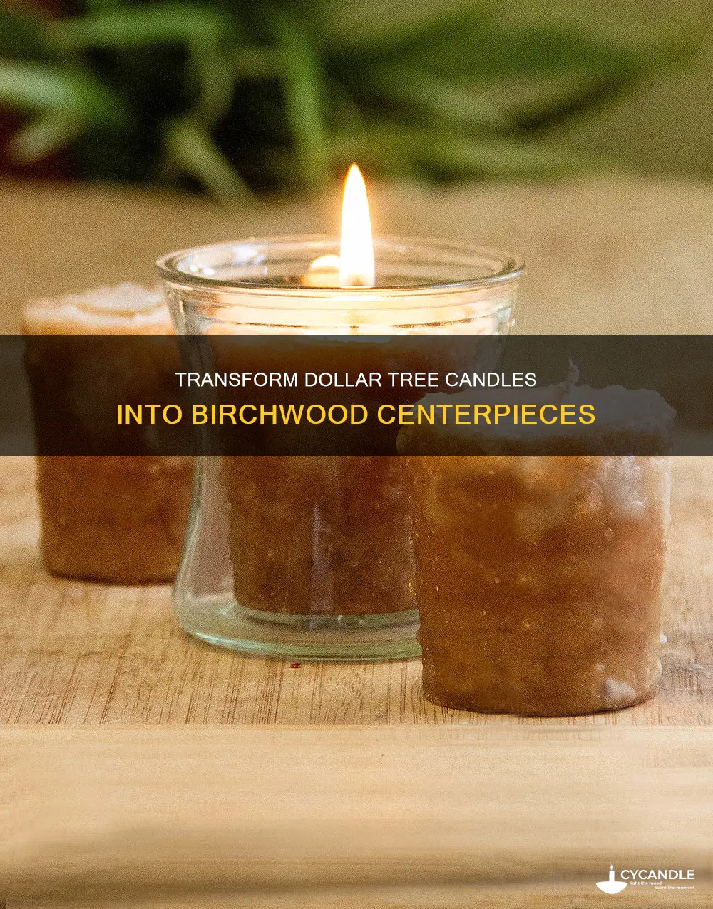 how to turn dollar tree candle into birchwood candle