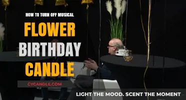 Turning Off Musical Flower Birthday Candles: A Quick Guide
