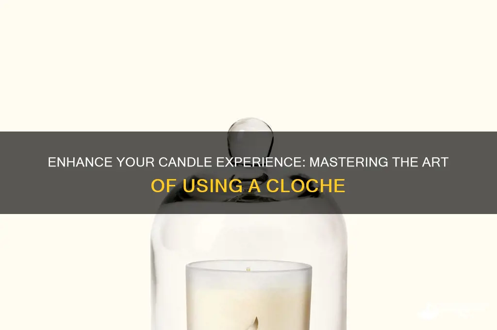 how to use a candle cloche