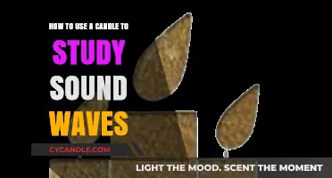 Exploring Sound Waves: A Creative Candle Experiment for Science Learners