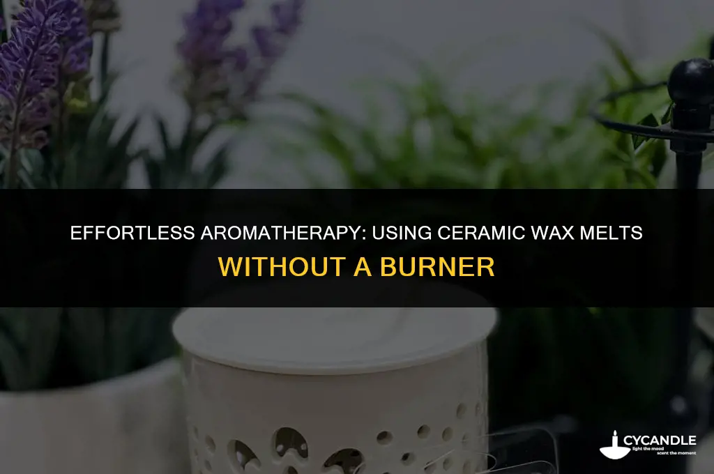 how to use a ceramic wax melts without burner