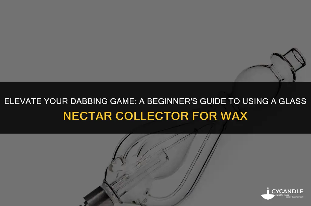 how to use a glass nector to smoke wax