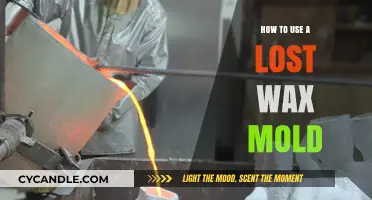 Unveiling the Art of Lost Wax Molding: A Step-by-Step Guide