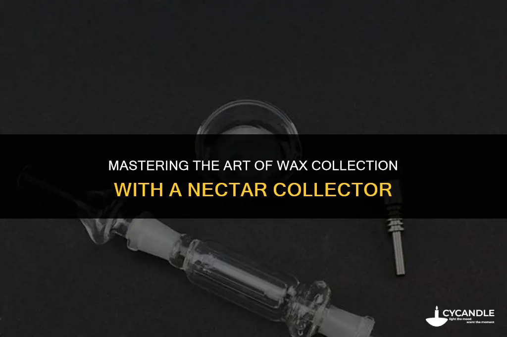 how to use a nectar collector for wax