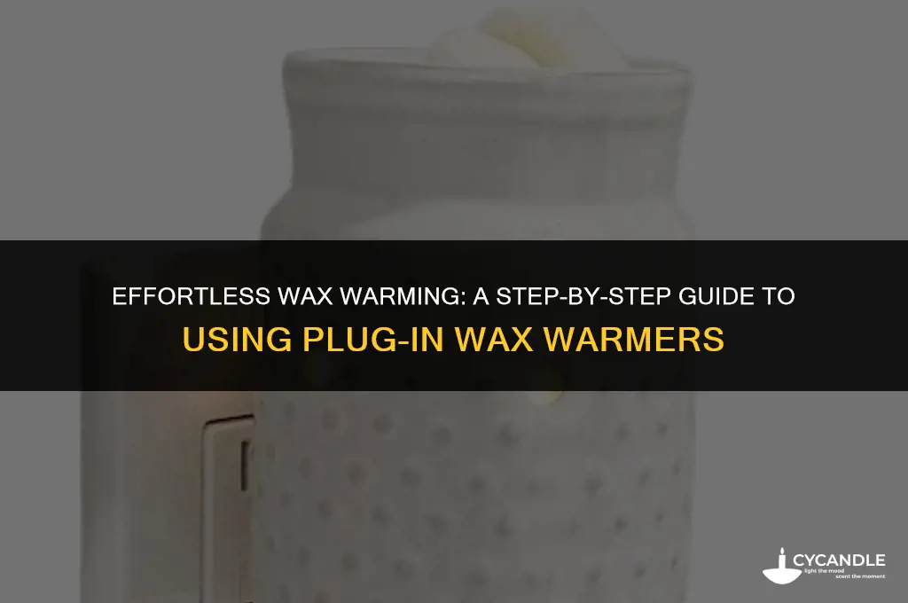 how to use a plug in wax warmer