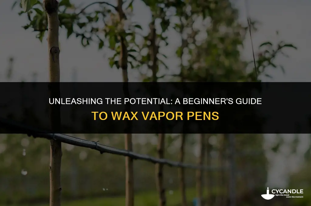 how to use a vapor pen for wax