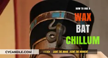 Exploring the Art of Wax Bat Chillums: A Beginner's Guide