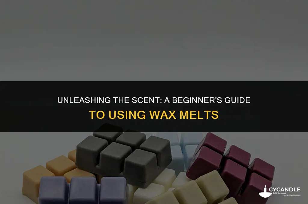how to use a wax mel34