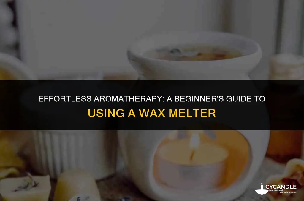 how to use a wax melter