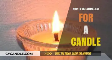 Crafting Natural Light: Using Animal Fat to Make Candles