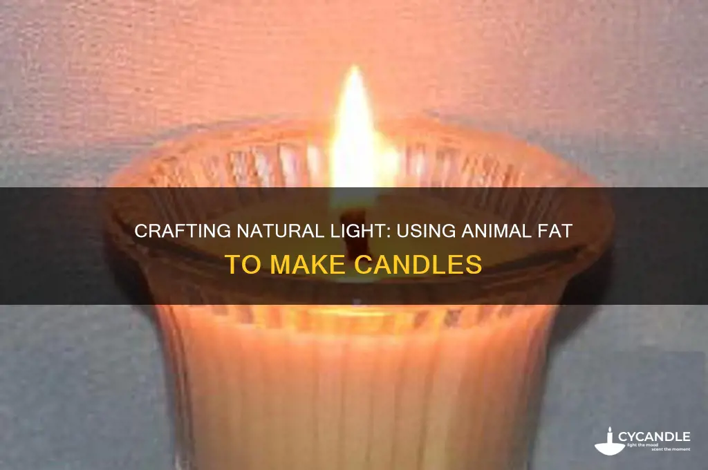 how to use animal fat for a candle