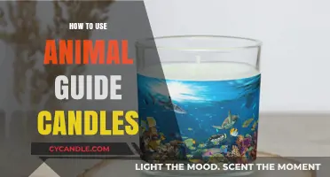Illuminate Your Path: Using Animal Guide Candles for Spiritual Connection
