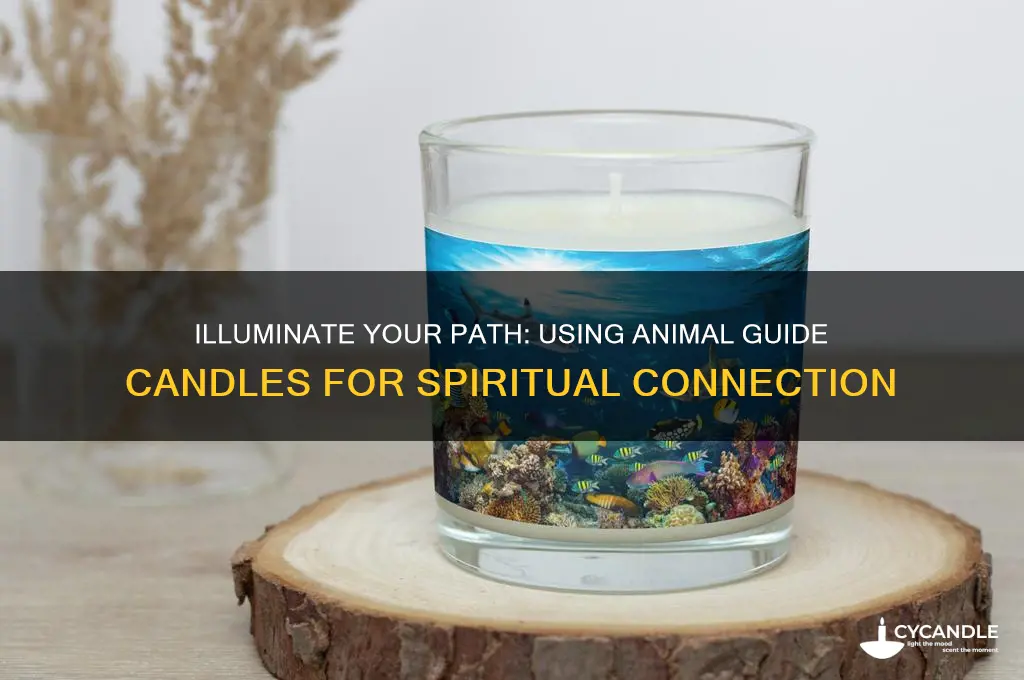 how to use animal guide candles