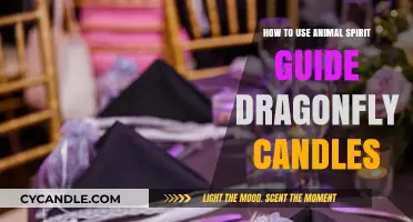 Illuminate Your Path: Using Dragonfly Spirit Guide Candles for Transformation