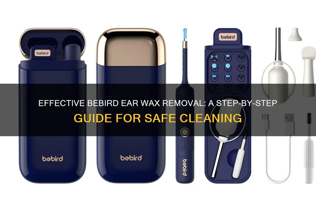 how to use bebird ear wax removal