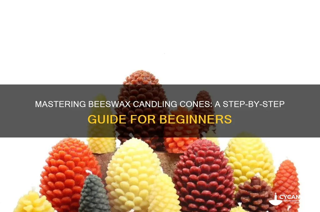 how to use beeswax candling cones