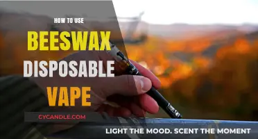 Mastering Beeswax Disposable Vapes: A Beginner's Guide to Usage