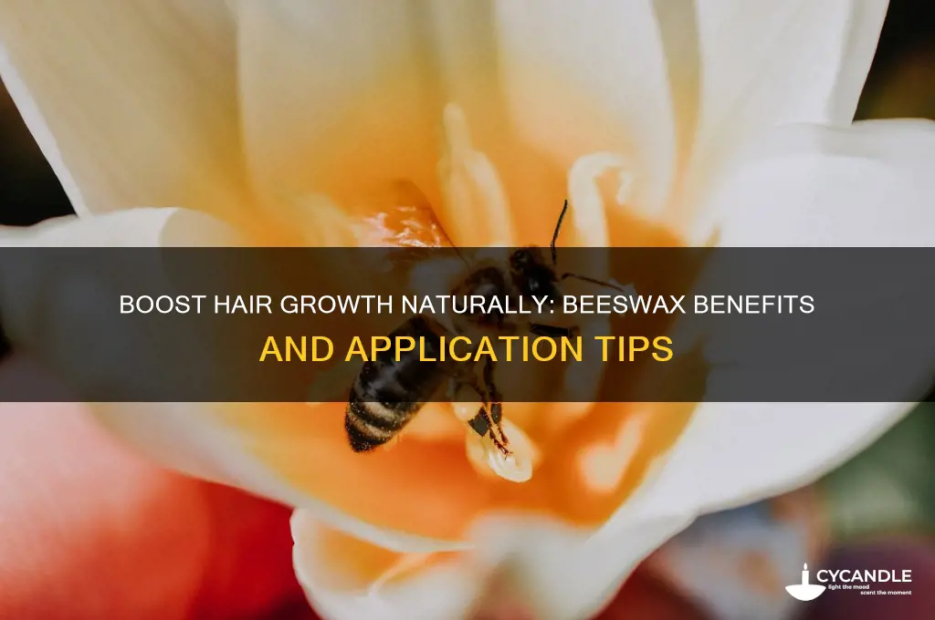 how to use beeswax for hair growth