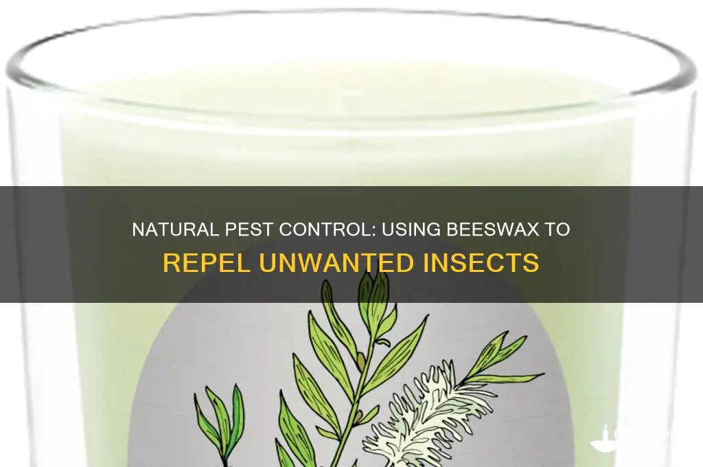 how to use beeswax to get rid of pests