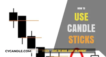 Mastering Candlestick Charts: A Beginner's Guide to Trading Strategies