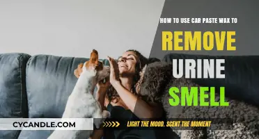 Eliminate Urine Odors: Car Paste Wax Removal Technique Revealed