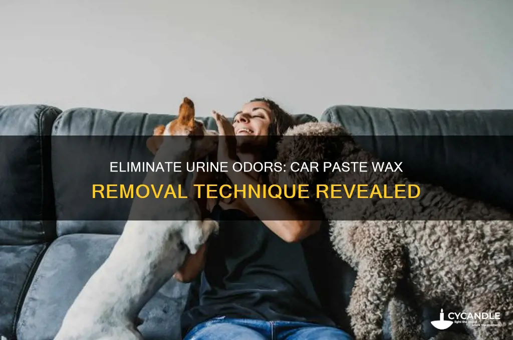 how to use car paste wax to remove urine smell