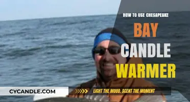 Mastering the Art of Using Your Chesapeake Bay Candle Warmer