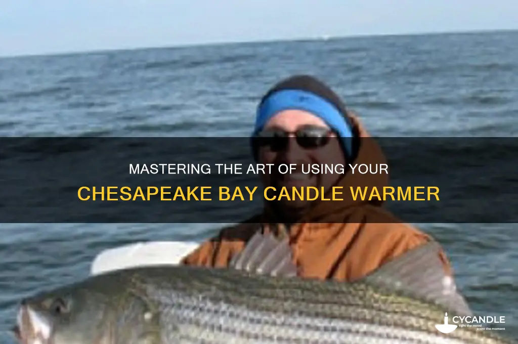 how to use chesapeake bay candle warmer