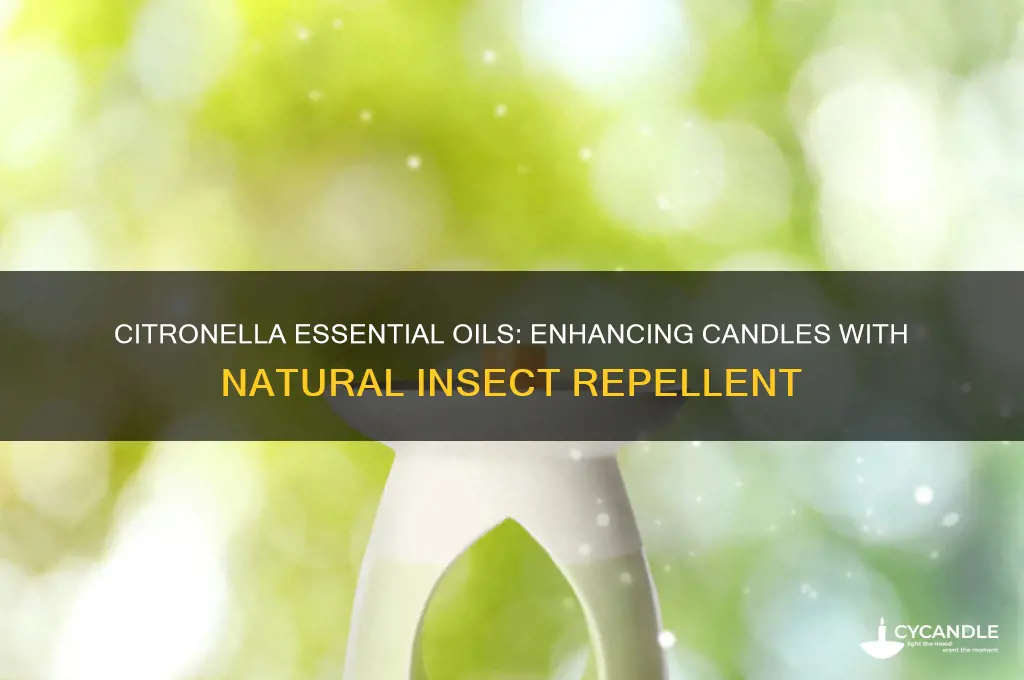 how to use citronella essential oils in candle