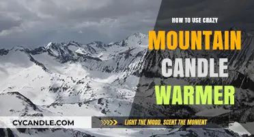 Mastering the Art of Using Your Crazy Mountain Candle Warmer