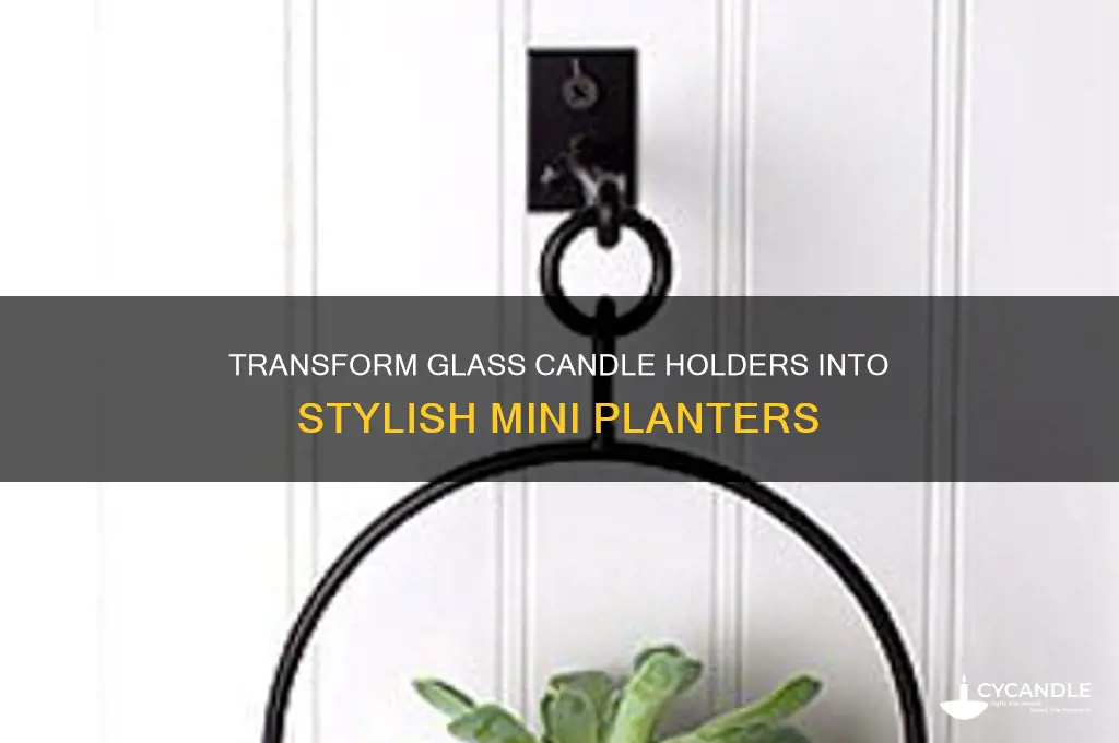 how to use glass candle holders as planters