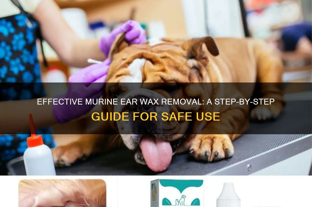 how to use murine ear wax removal